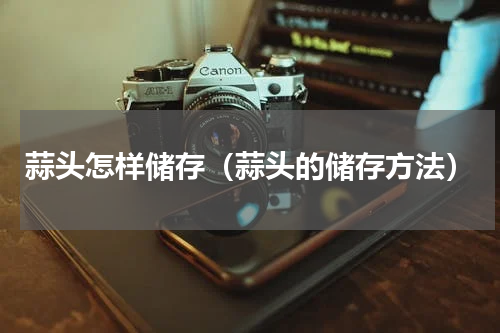 蒜头怎样储存（蒜头的储存方法）