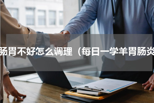 羊肠胃不好怎么调理（每日一学羊胃肠炎）