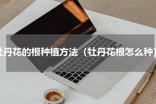 牡丹花的根种植方法（牡丹花根怎么种）