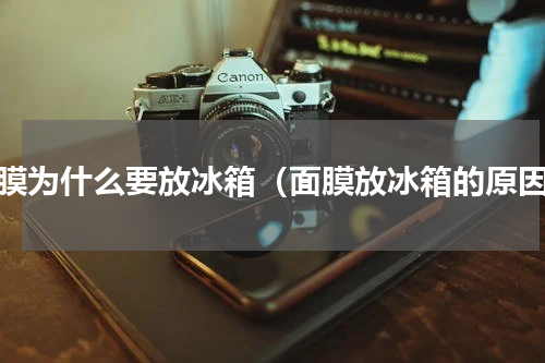 面膜为什么要放冰箱（面膜放冰箱的原因）