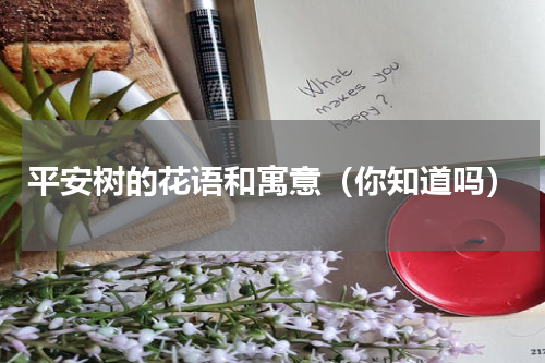 平安树的花语和寓意（你知道吗）