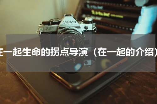 在一起生命的拐点导演（在一起的介绍）