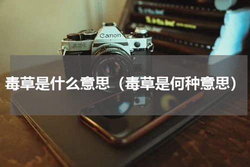 毒草是什么意思（毒草是何种意思）