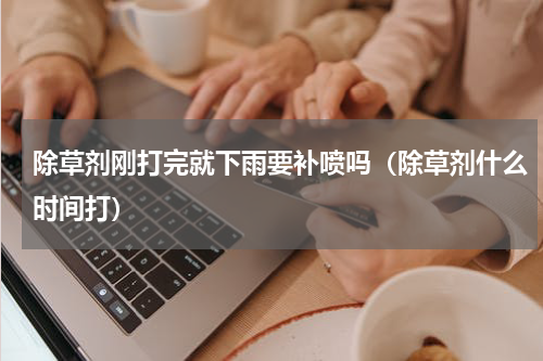 除草剂刚打完就下雨要补喷吗（除草剂什么时间打）