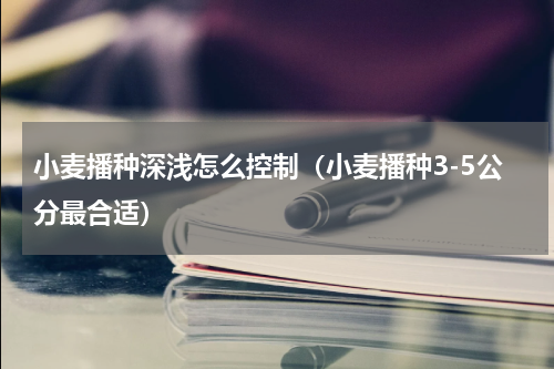 小麦播种深浅怎么控制（小麦播种3-5公分最合适）