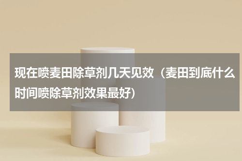 现在喷麦田除草剂几天见效（麦田到底什么时间喷除草剂效果最好）