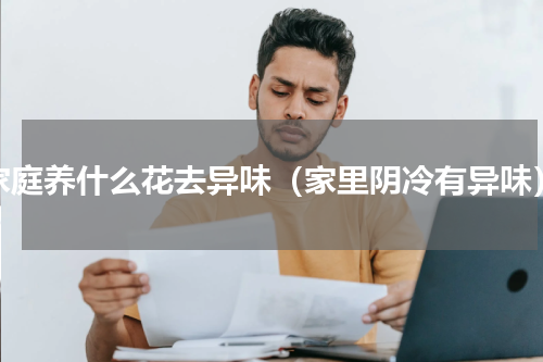 家庭养什么花去异味（家里阴冷有异味）