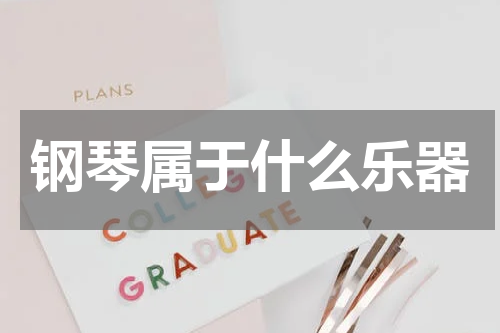 钢琴属于什么乐器