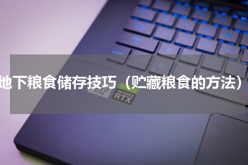 地下粮食储存技巧（贮藏粮食的方法）