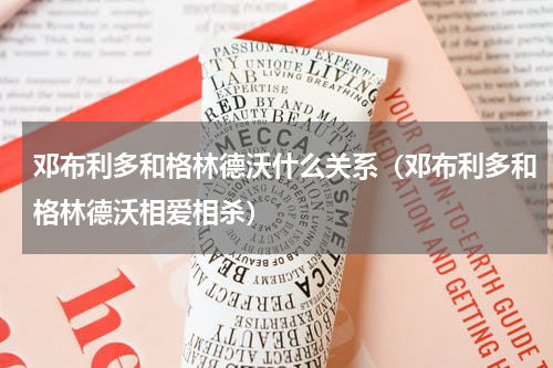 邓布利多和格林德沃什么关系（邓布利多和格林德沃相爱相杀）