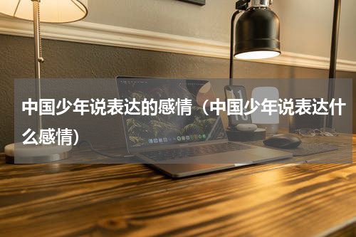中国少年说表达的感情（中国少年说表达什么感情）
