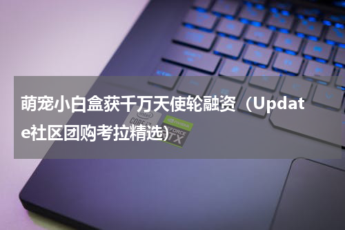 萌宠小白盒获千万天使轮融资（Update社区团购考拉精选）