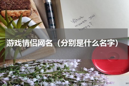 游戏情侣网名（分别是什么名字）