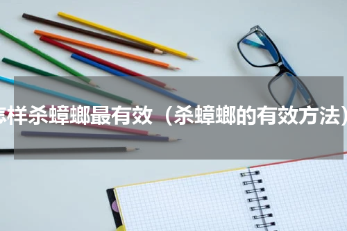 怎样杀蟑螂最有效（杀蟑螂的有效方法）
