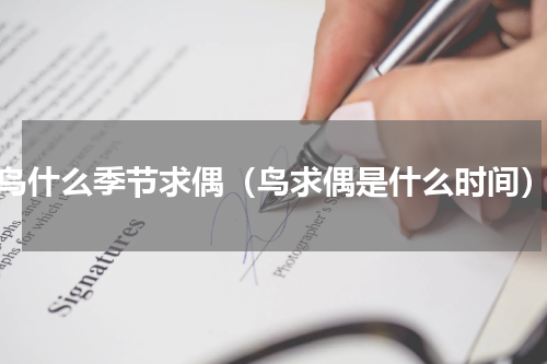鸟什么季节求偶（鸟求偶是什么时间）