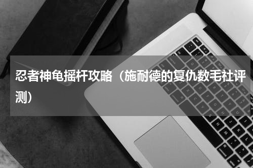 忍者神龟摇杆攻略（施耐德的复仇数毛社评测）