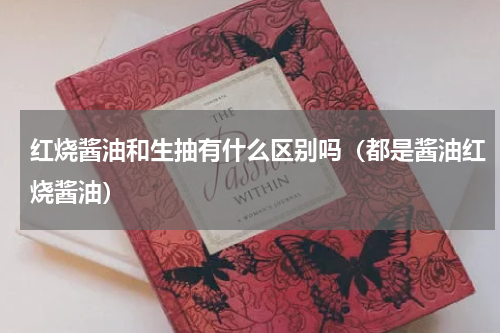 红烧酱油和生抽有什么区别吗（都是酱油红烧酱油）