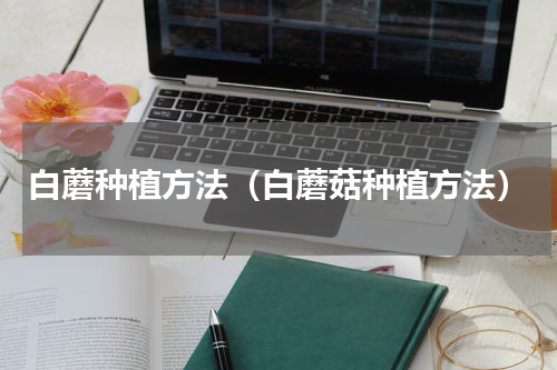 白蘑种植方法（白蘑菇种植方法）