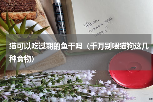 猫可以吃过期的鱼干吗（千万别喂猫狗这几种食物）