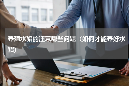 养殖水貂的注意哪些问题（如何才能养好水貂）