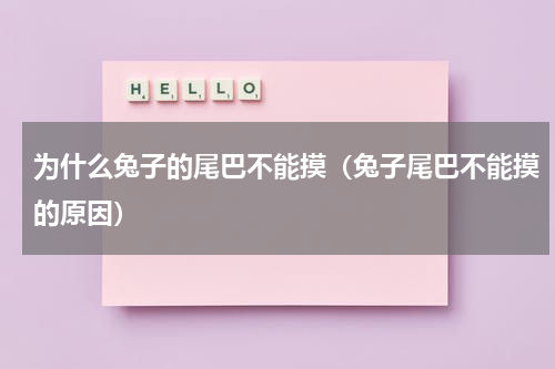 为什么兔子的尾巴不能摸（兔子尾巴不能摸的原因）