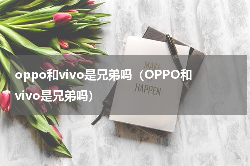 oppo和vivo是兄弟吗（OPPO和vivo是兄弟吗）
