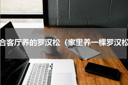 适合客厅养的罗汉松（家里养一棵罗汉松）