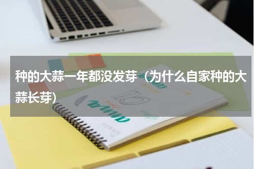 种的大蒜一年都没发芽（为什么自家种的大蒜长芽）