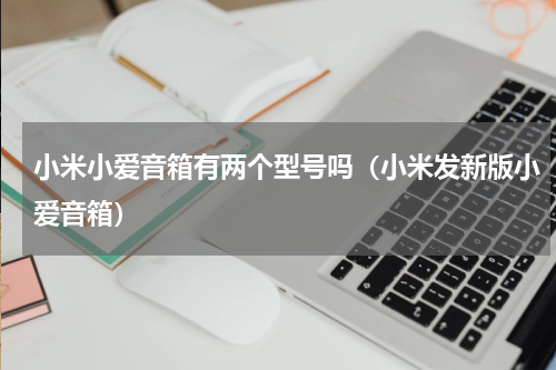 小米小爱音箱有两个型号吗（小米发新版小爱音箱）