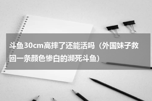 斗鱼30cm高摔了还能活吗（外国妹子救回一条颜色惨白的濒死斗鱼）