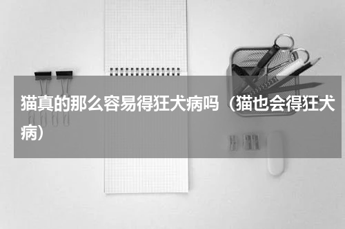 猫真的那么容易得狂犬病吗（猫也会得狂犬病）