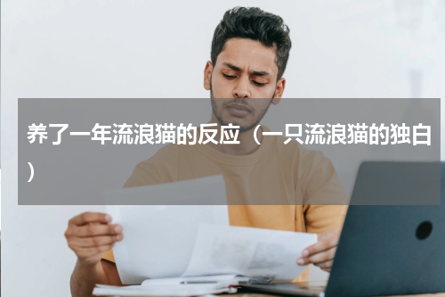 养了一年流浪猫的反应（一只流浪猫的独白）