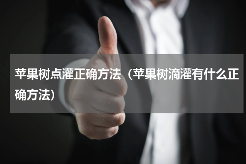 苹果树点灌正确方法（苹果树滴灌有什么正确方法）