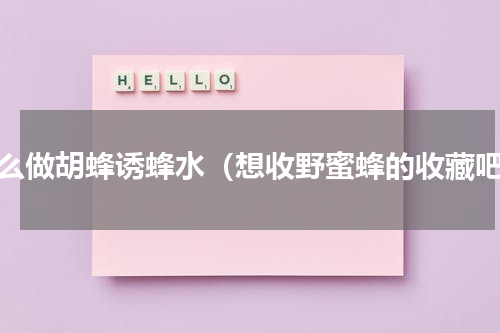 怎么做胡蜂诱蜂水（想收野蜜蜂的收藏吧）