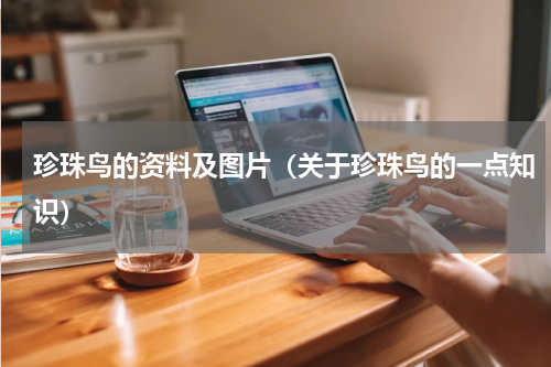 珍珠鸟的资料及图片（关于珍珠鸟的一点知识）