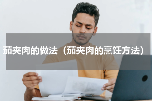 茄夹肉的做法（茄夹肉的烹饪方法）