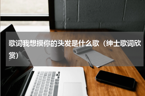 歌词我想摸你的头发是什么歌（绅士歌词欣赏）