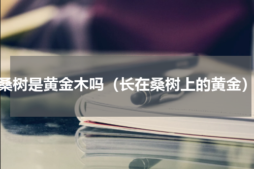 桑树是黄金木吗（长在桑树上的黄金）