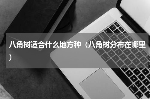 八角树适合什么地方种（八角树分布在哪里）