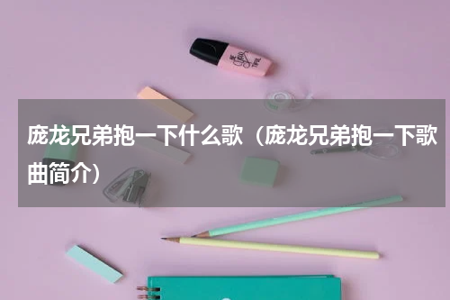 庞龙兄弟抱一下什么歌（庞龙兄弟抱一下歌曲简介）