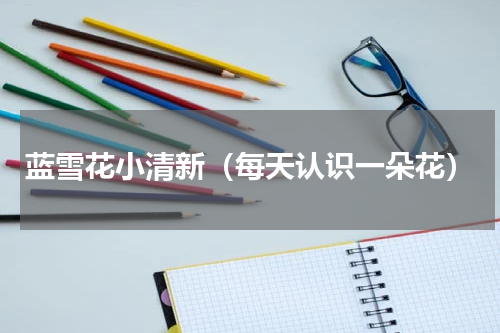 蓝雪花小清新（每天认识一朵花）