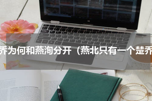 楚乔为何和燕洵分开（燕北只有一个楚乔）