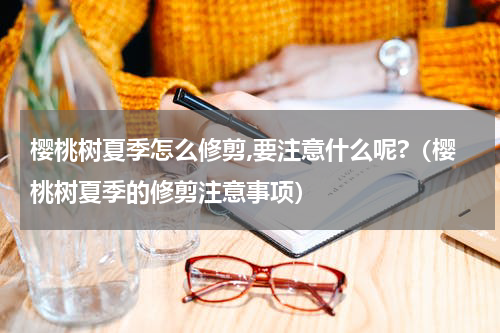 樱桃树夏季怎么修剪,要注意什么呢?（樱桃树夏季的修剪注意事项）