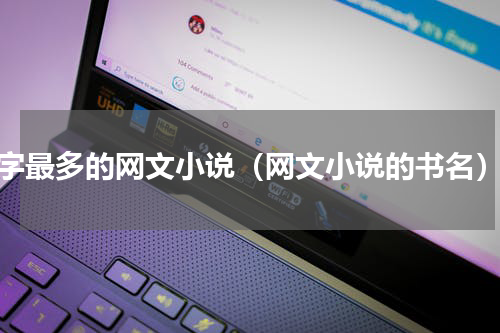 字最多的网文小说（网文小说的书名）