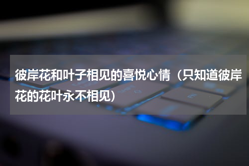 彼岸花和叶子相见的喜悦心情（只知道彼岸花的花叶永不相见）