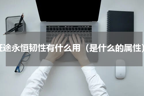 征途永恒韧性有什么用（是什么的属性）