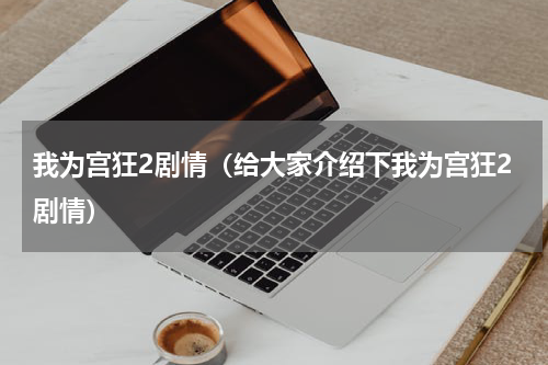 我为宫狂2剧情（给大家介绍下我为宫狂2剧情）