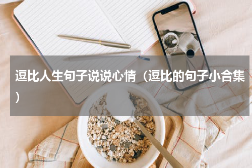 逗比人生句子说说心情（逗比的句子小合集）