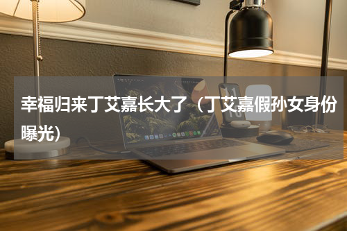 幸福归来丁艾嘉长大了（丁艾嘉假孙女身份曝光）