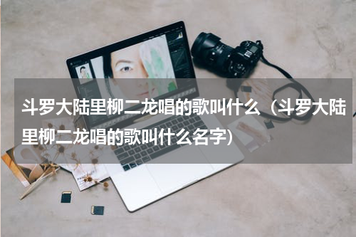 斗罗大陆里柳二龙唱的歌叫什么（斗罗大陆里柳二龙唱的歌叫什么名字）